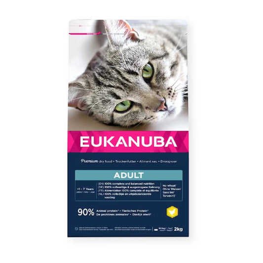 Eukanuba Cat Adult cu Pui – 2 kg