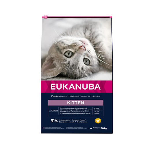 EUKANUBA Kitten Pui, DHA Dezvoltare Creier & Crochete Mici, 10 Kg